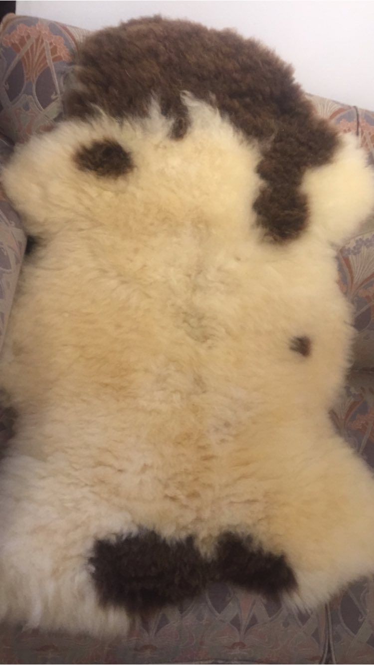 soft toy craft on shelf