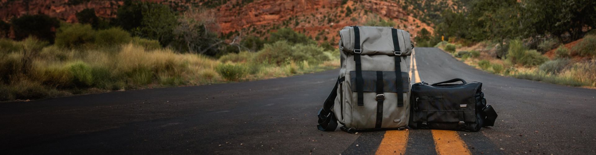 A backpack and a suitcase are sitting on the side of a road.