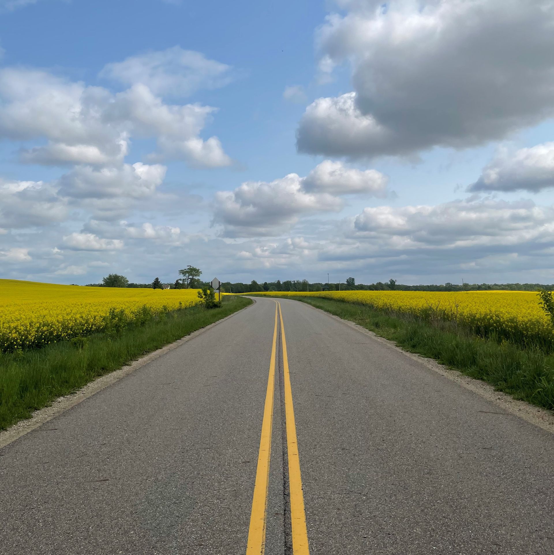 Woman in apron smiles, holding notepad, standing in doorway of a shop.