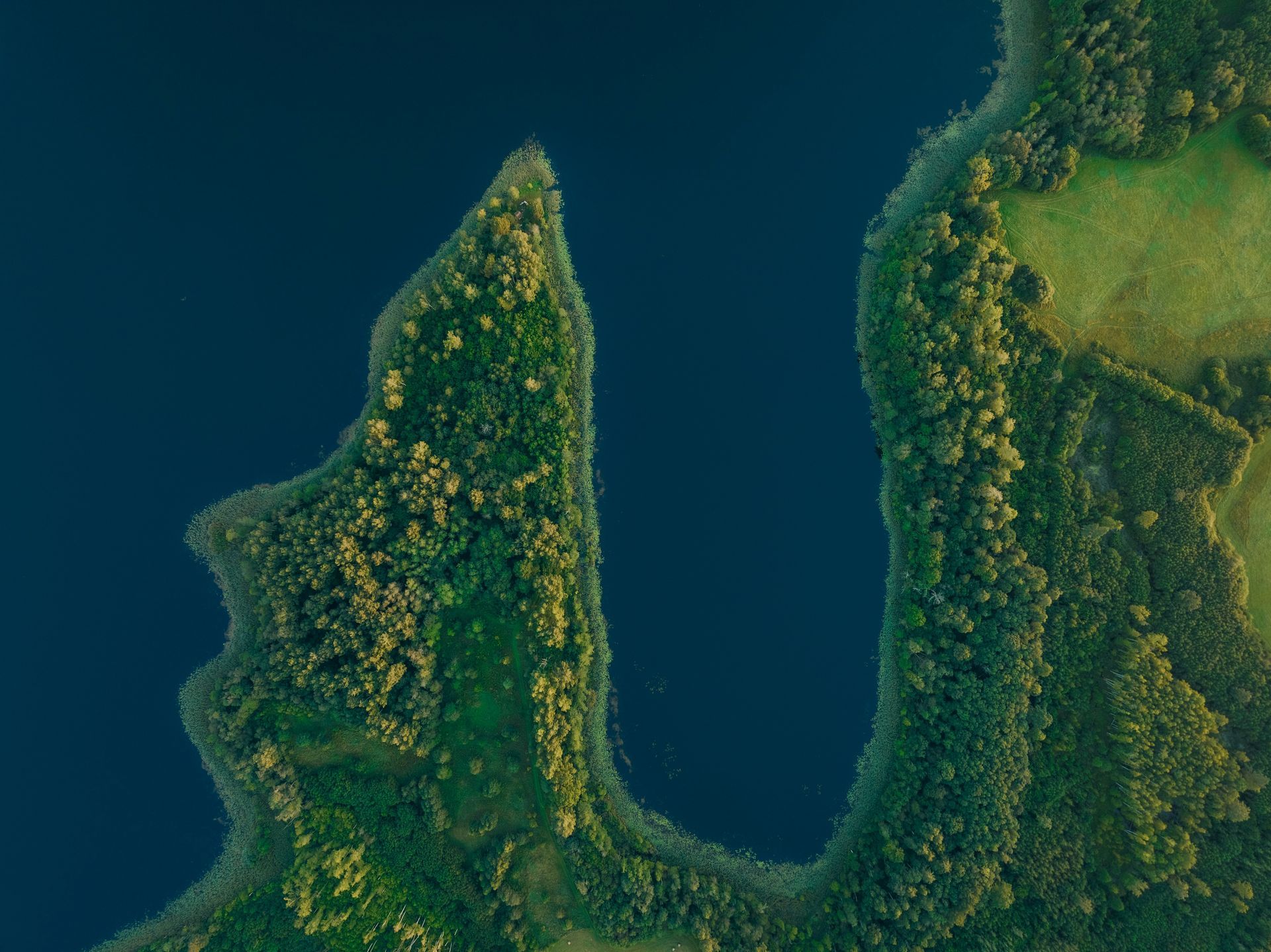 Aerial view of a dark blue lake surrounding two forest peninsulas, green trees in the sunlight.
