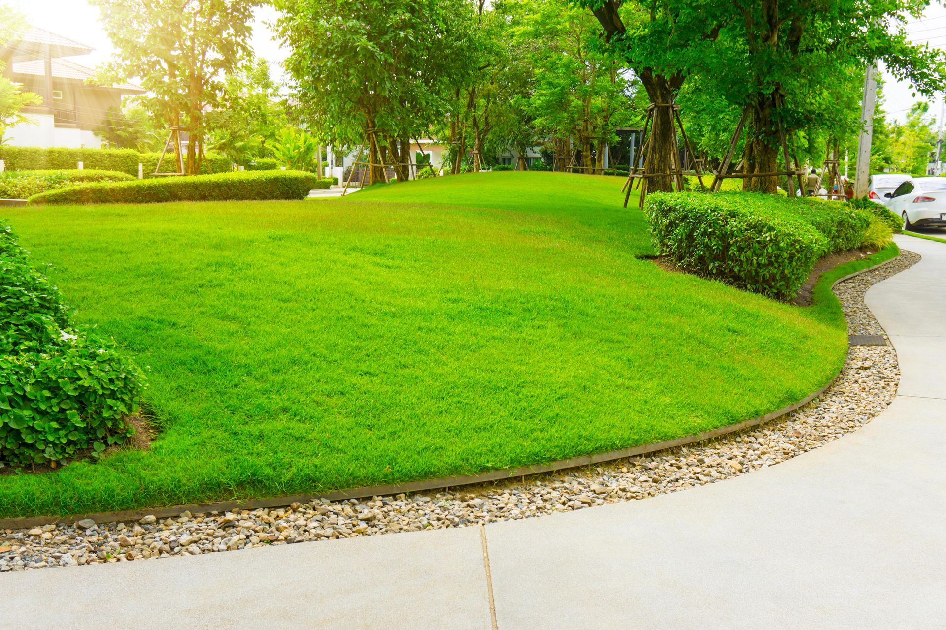 a lush green lawn with trees and bushes along a sidewalk in a park .