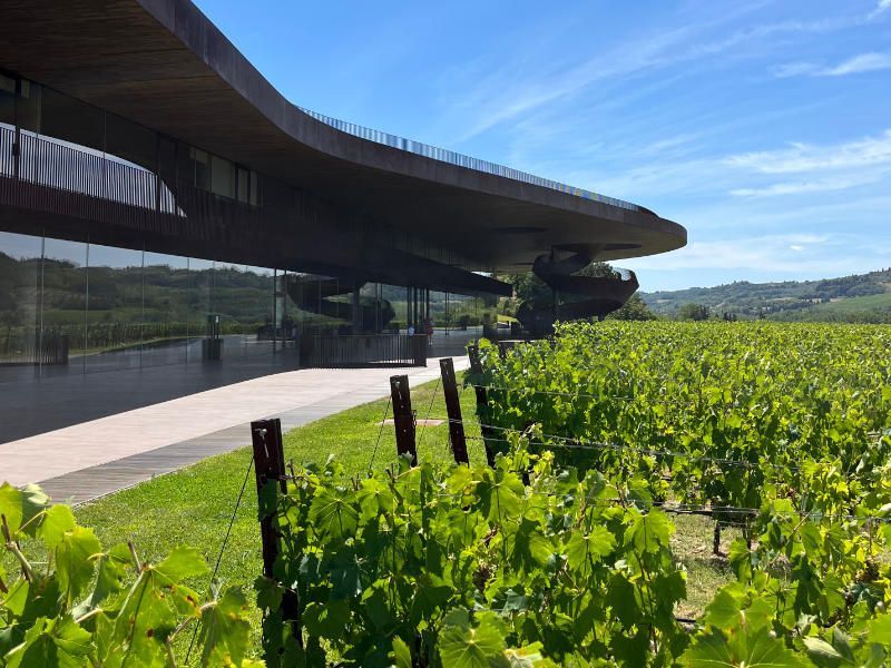 Vineyards at the Antinori winery in Chianti