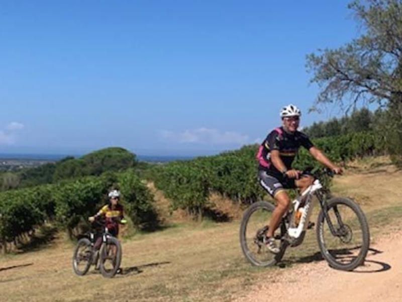 Bolgheri wine & Bike tour with wine tasting