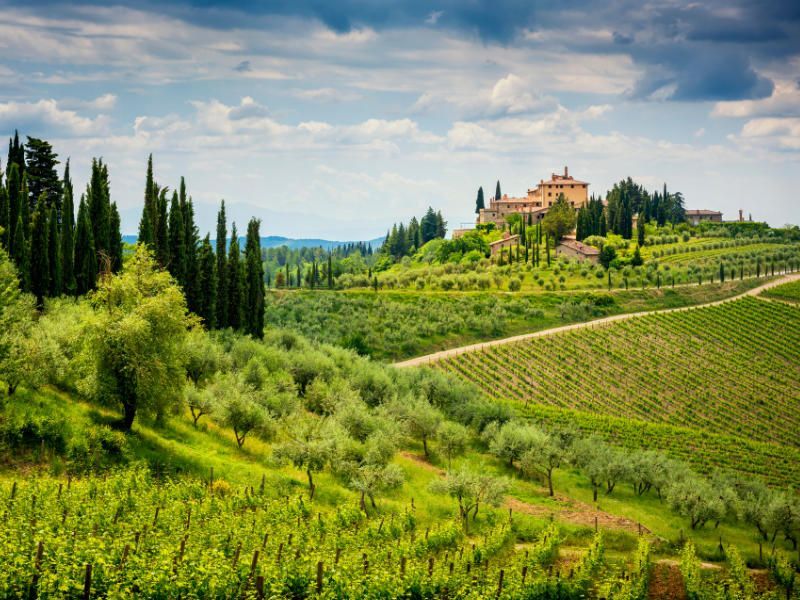 Stunning landscape in the Chianti wine region