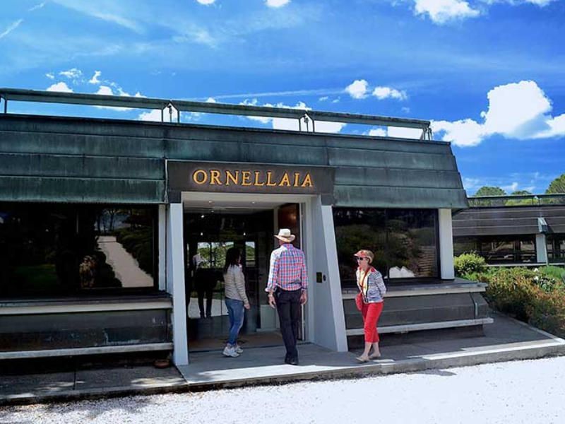 Exclusieve Bolgheri wijnproeverij door Italy & Wine vanuit Florence