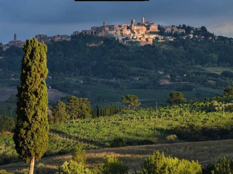 Montepulciano 'Food & Wine' tour and tasting