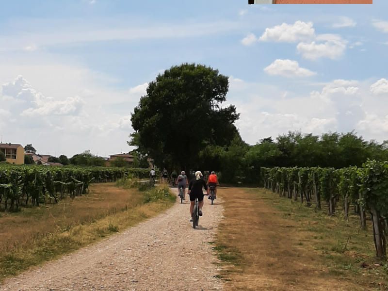 Cycling through the Franciacorta vineyards