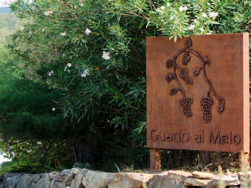 Wine tasting in Bolgheri at Guado al Melo