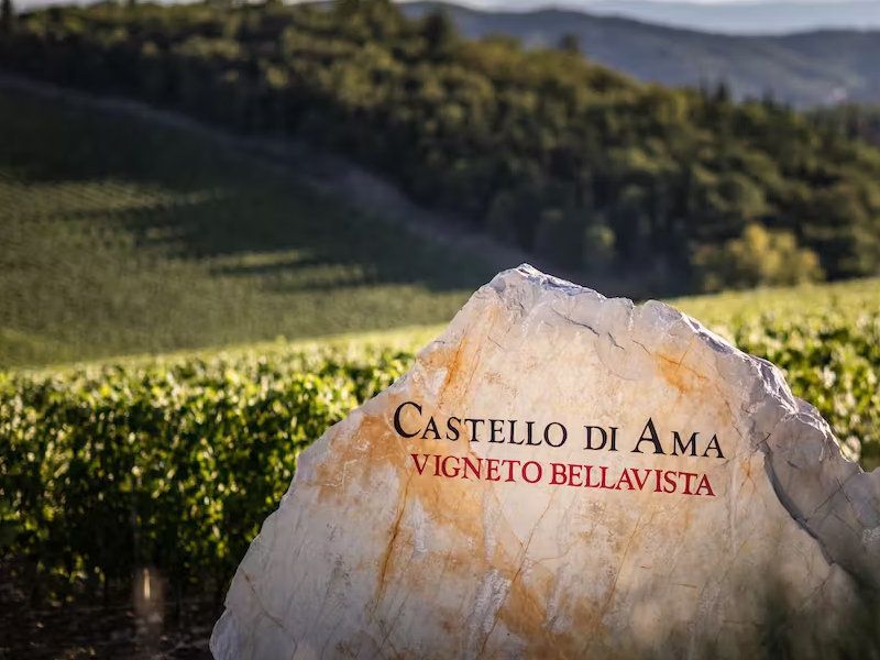 Italian wineries - Castello di Ama
