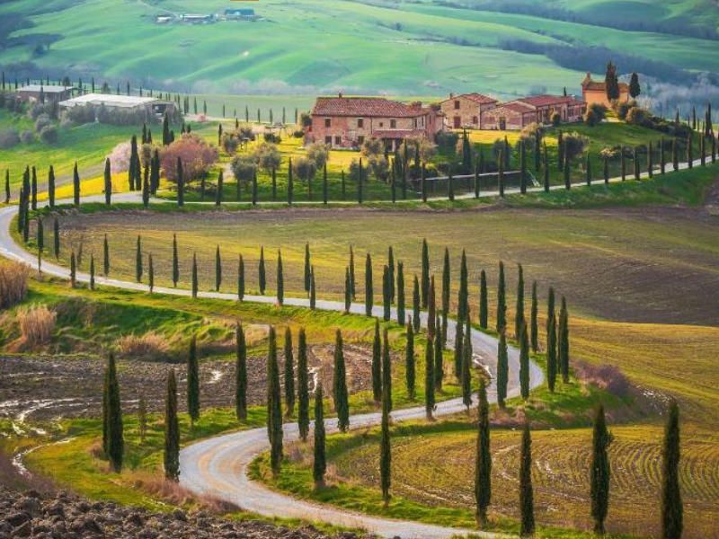 Montepulciano and Val d'Orcia wine tour from Siena