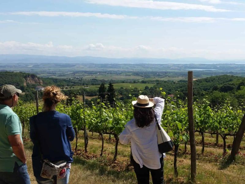 Montepulciano en Pienza wijnproeverij en kaas-tour (dagtocht)