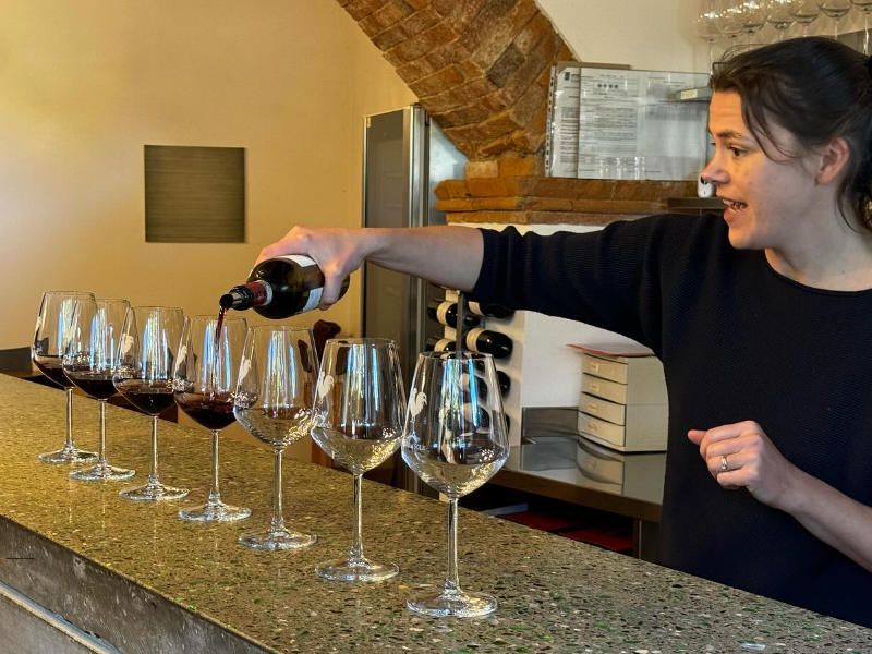Elite Nobile di Montepulciano full-day wine tour from Florence