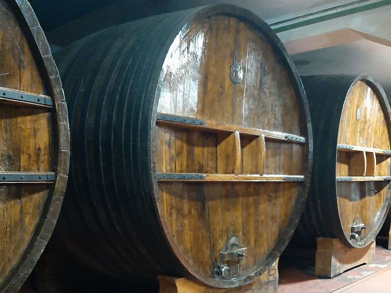 Wines are being produced in the cellar of the Sella e Mosca winery