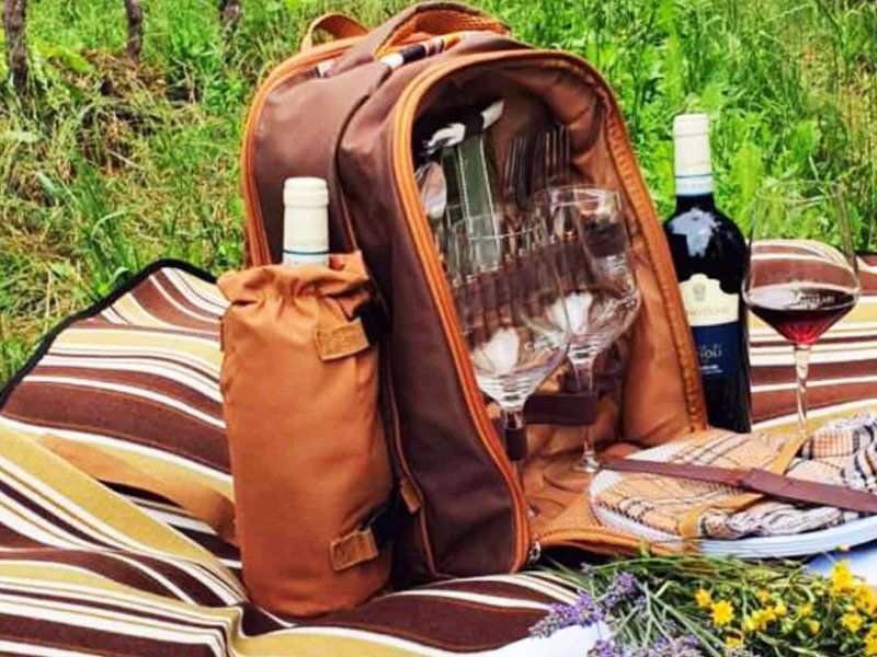 Soave wijnproeverij met picnic bij Villa Canestrari