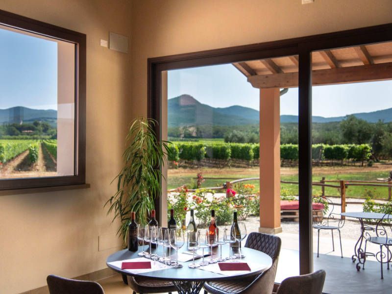 Various wine tasting tours at Tenuta di Vaira winery