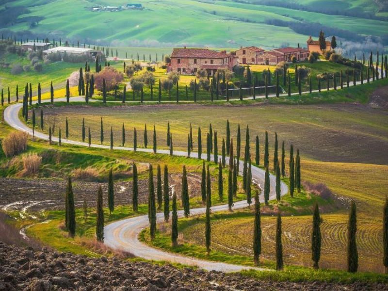 Val d'Orcia wine tour from Florence