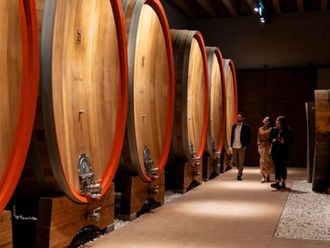 Discover the Valpolicella wines at Tommassi
