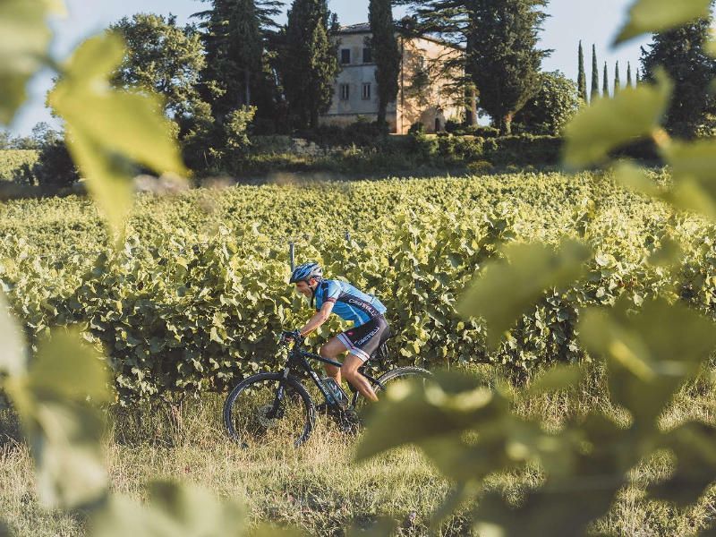 Vino Nobile di Montepulciano winery tour by e-bike