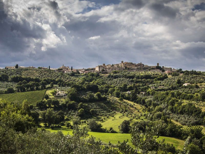 Wine region Montefalco in Umbria