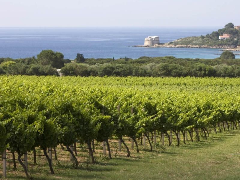 Sardinia wine region