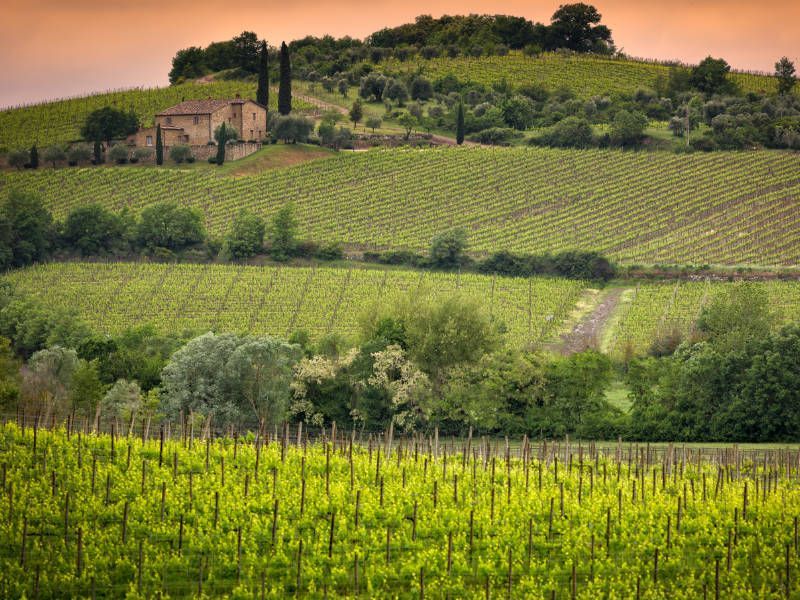 Wine tasting in beautiful Tuscany