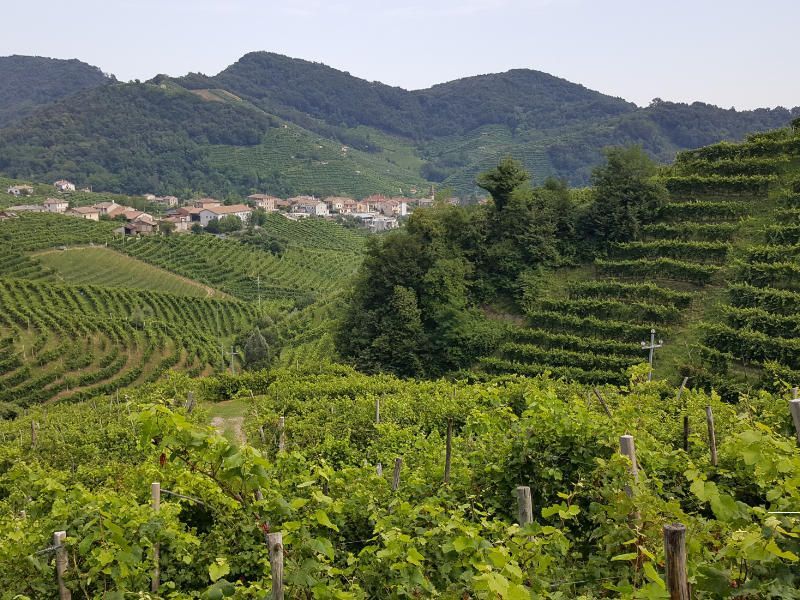 Great landscape in Veneto wine region like Prosecco