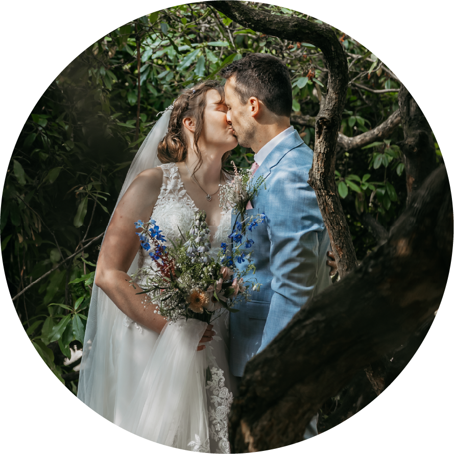 A bride and groom are kissing in a tree.