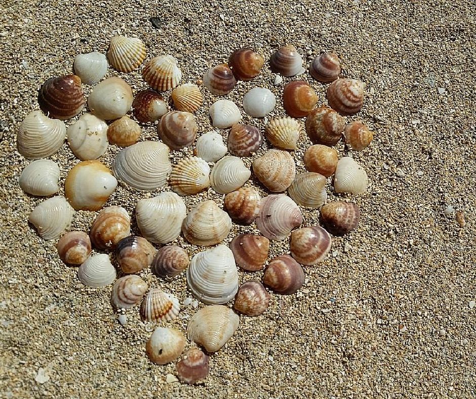 Wir haben für euch ein besonderes Fotomotiv als Gruß zum Valentinstag herausgesucht - zum Download