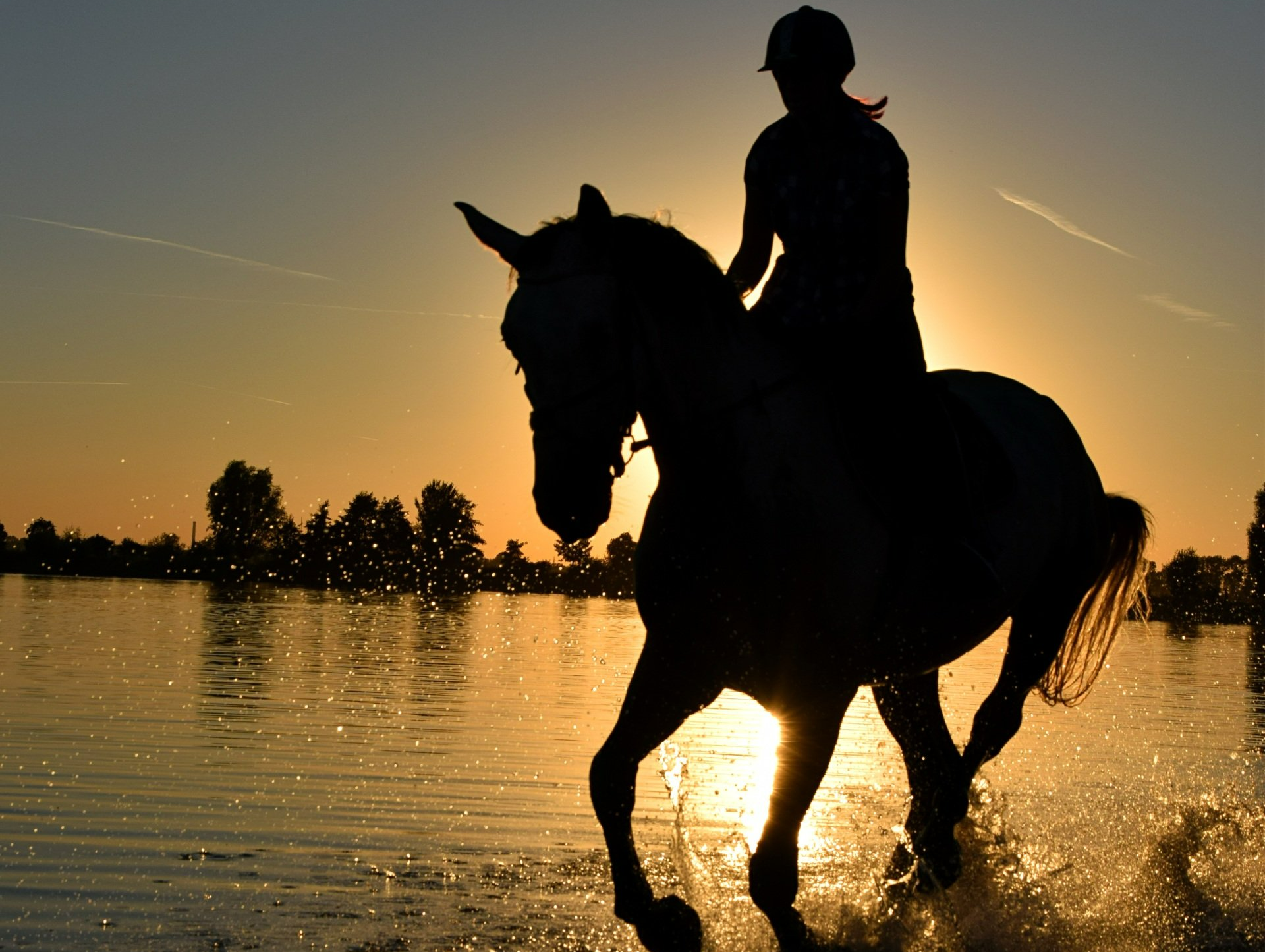 Feature-Foto DomainFactory Urlaub an der Ostsee mit Reiten