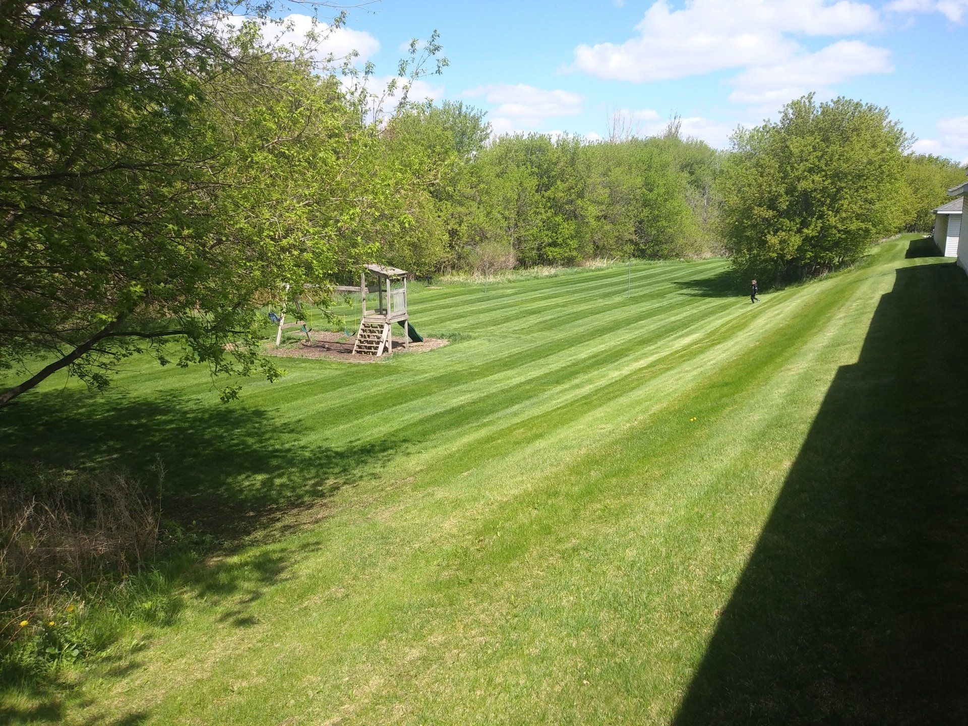 Lawn Mowing in yard