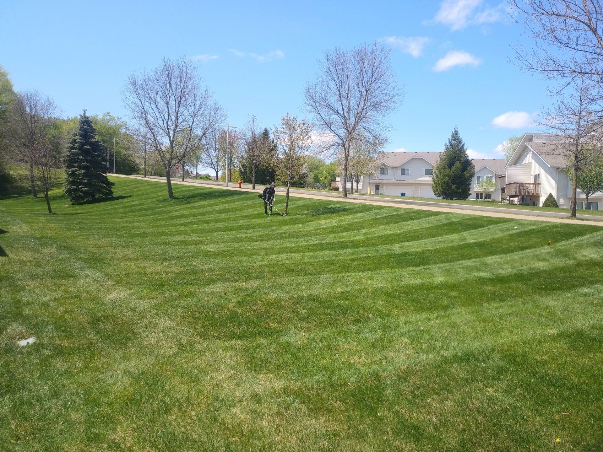 Lawn Mowing Yard