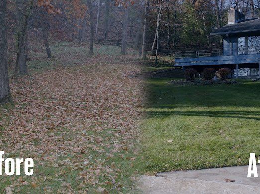 A before and after picture of a lawn with leaves and a house in the background.