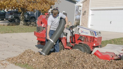 Spring and Fall leaf Cleanup