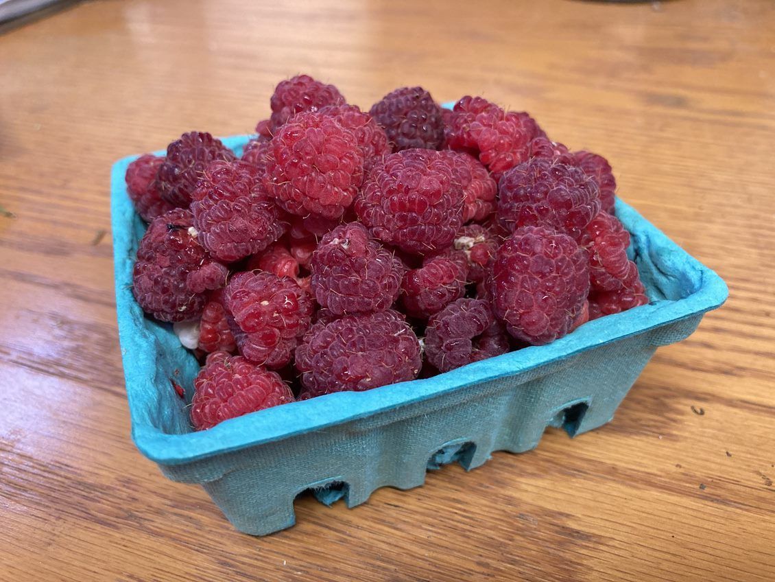 A blue cardboard carton filled with fresh, ripe red raspberries sitting on a wooden surface.