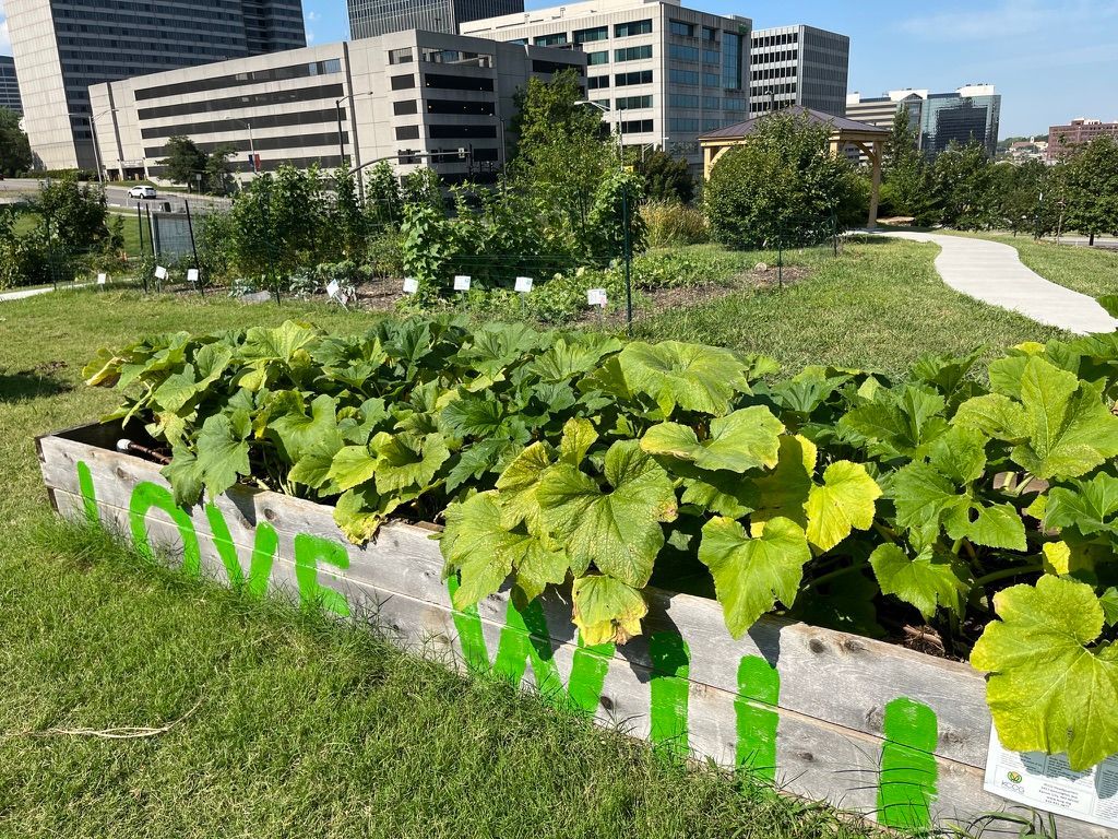 A raised garden bed with large green leaves features the painted green text 