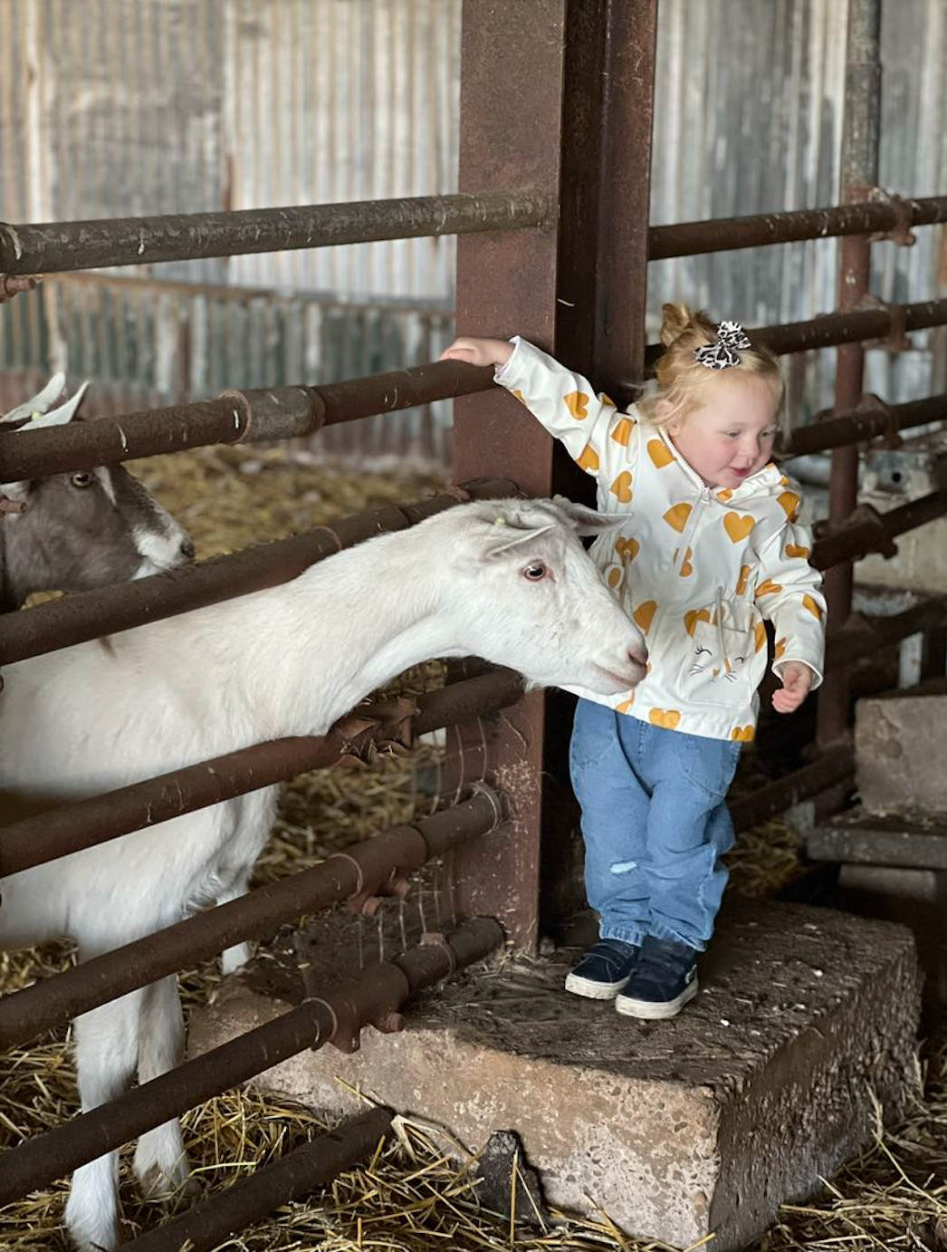 Introduction to Forest School: Where Nature Becomes the Classroom | The Dandelion Hideaway