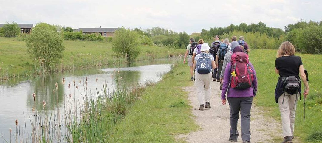The National Forest Walking Festival