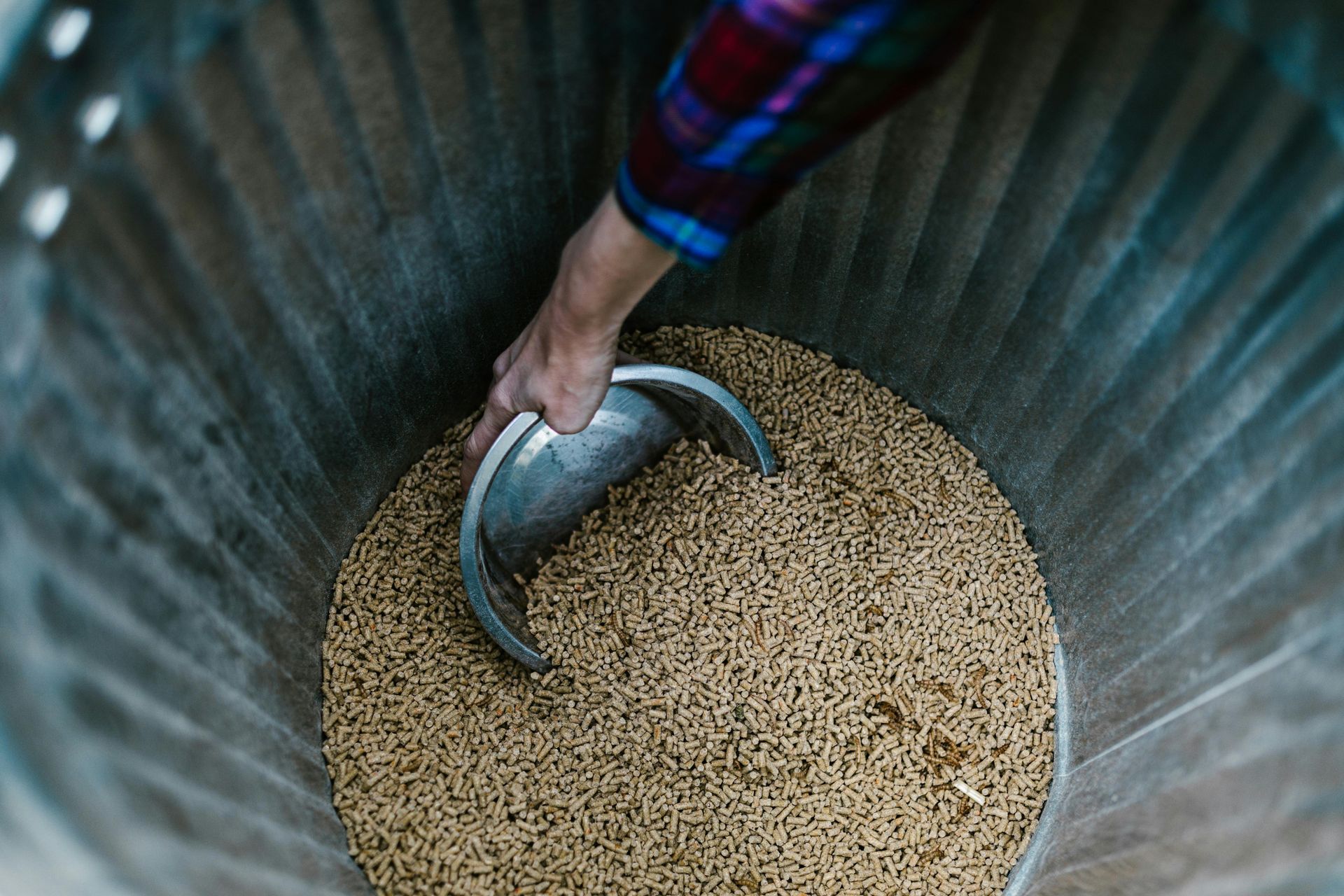 Una persona preleva del mangime per animali da un grande contenitore di metallo.