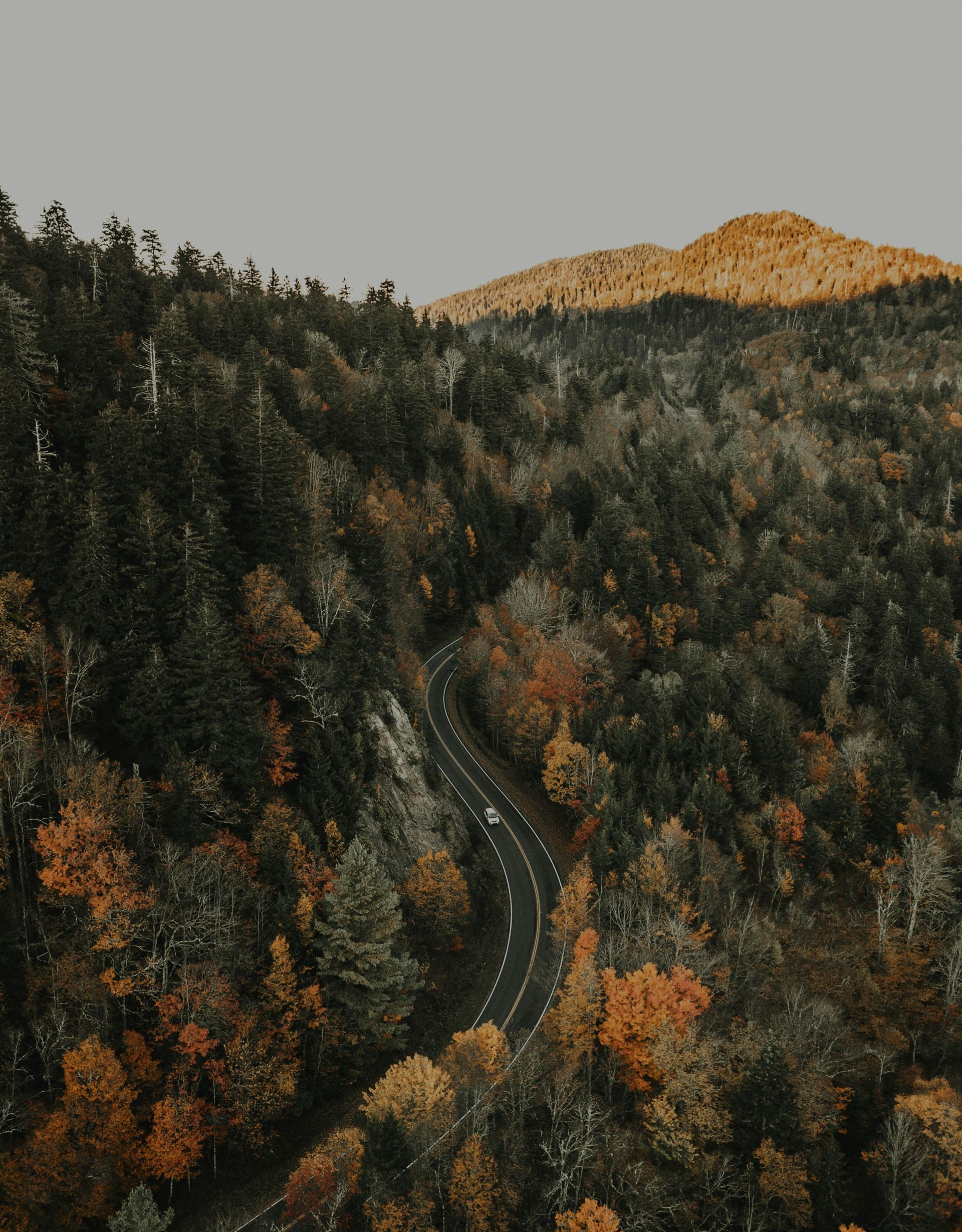 A pile of pills with one that says caf on it