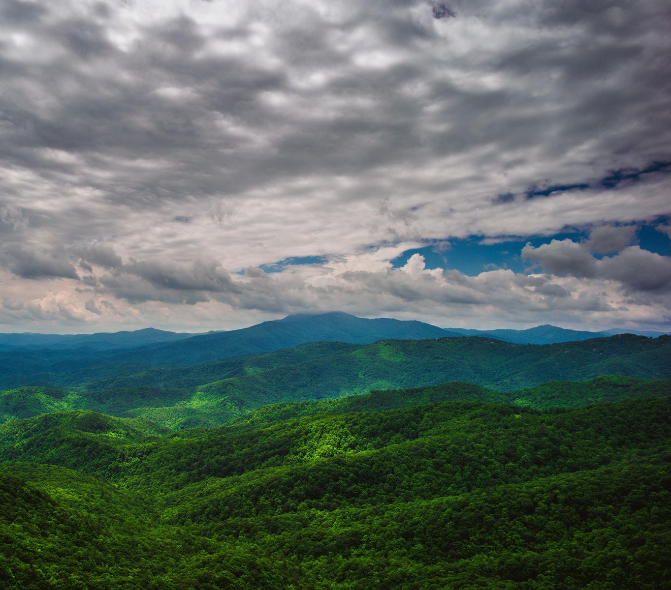 A pile of pills with one that says caf on it