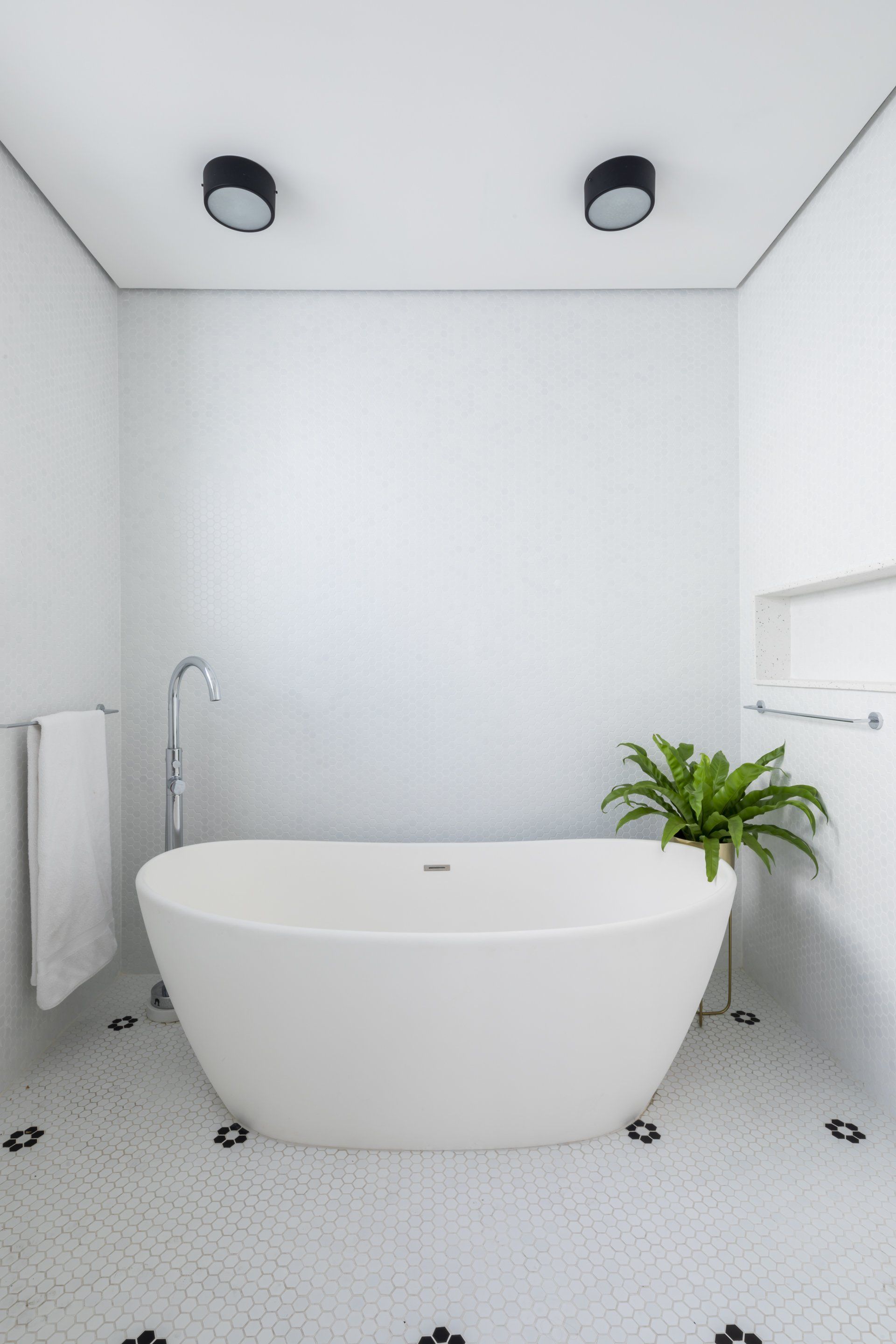 Um banheiro com banheira branca e uma planta no chão.