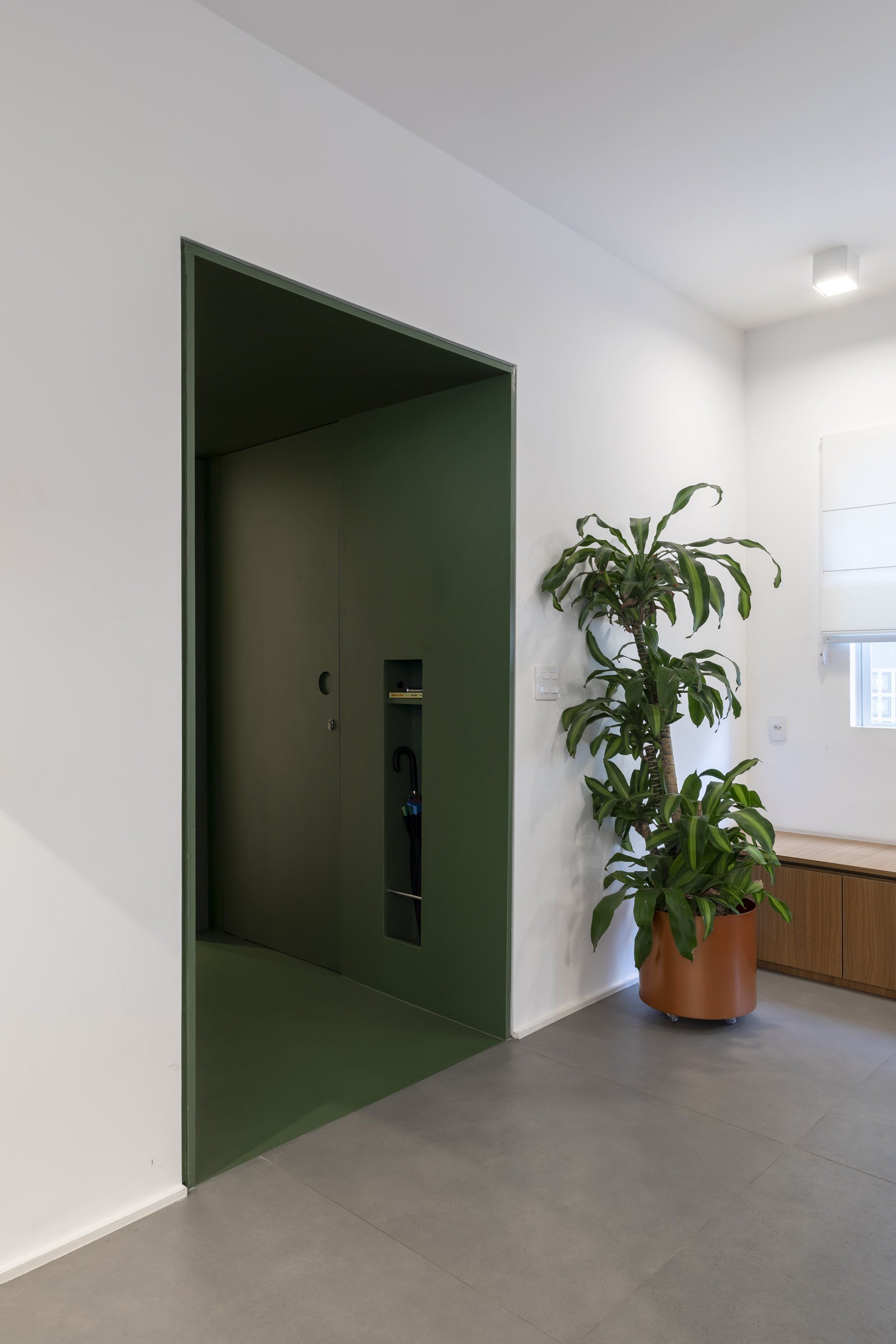 Um vaso de planta está ao lado de uma porta verde em uma sala.
