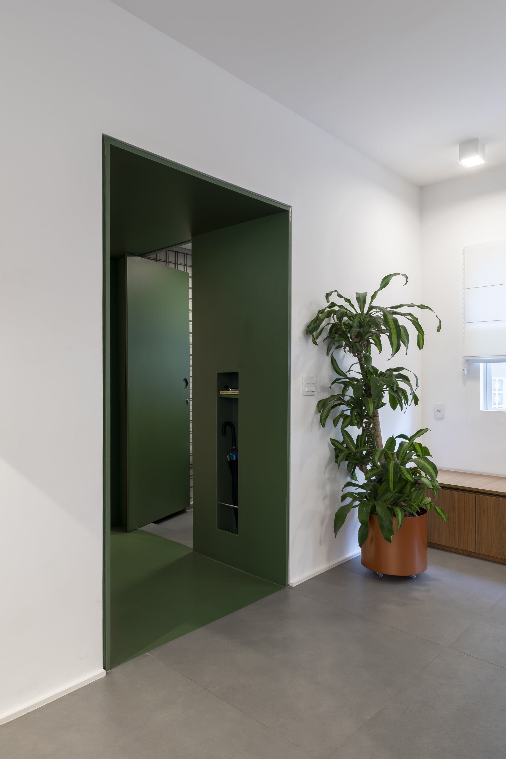 Um quarto com porta verde e um vaso de planta.