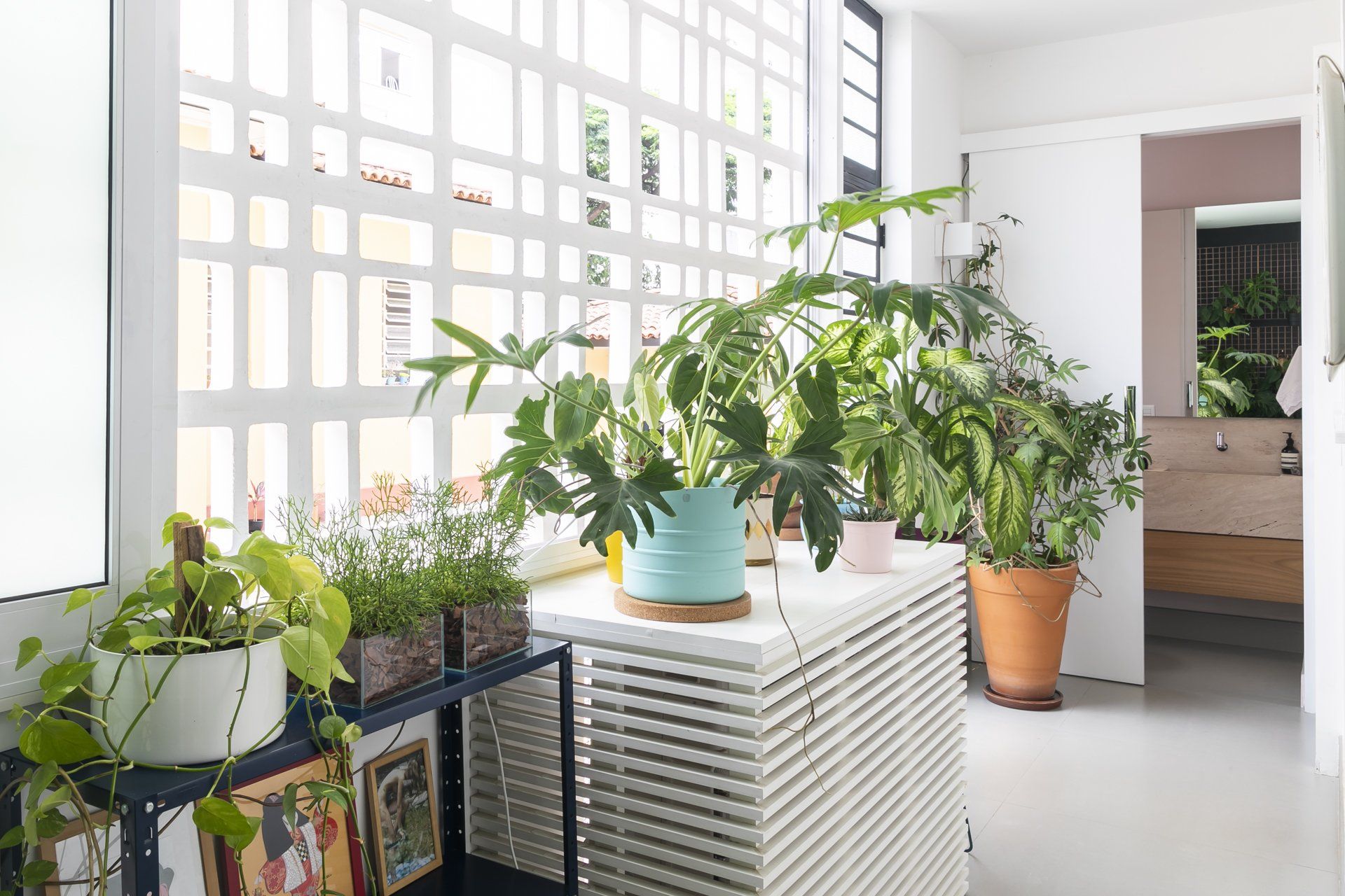 Um monte de vasos de plantas estão sobre uma mesa em uma sala.
