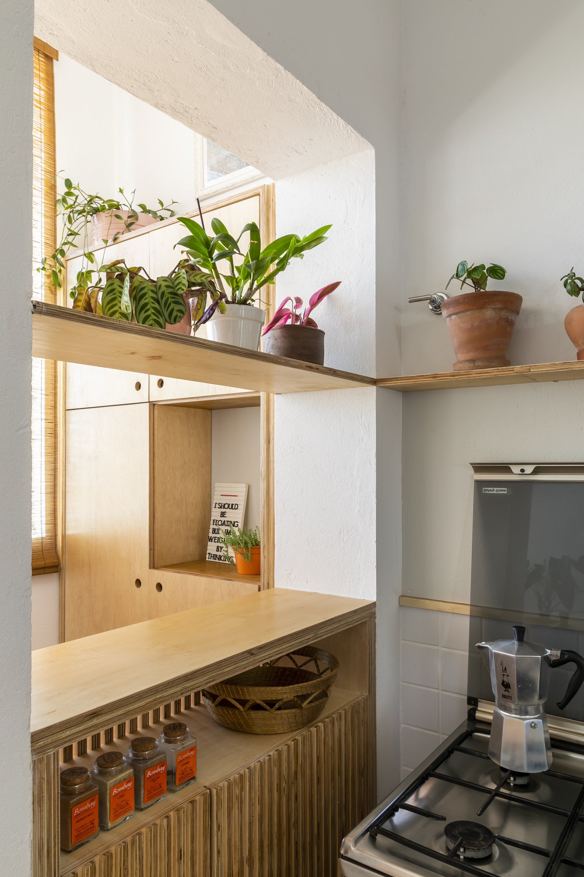 Uma cozinha com fogão e vasos de plantas nas prateleiras.