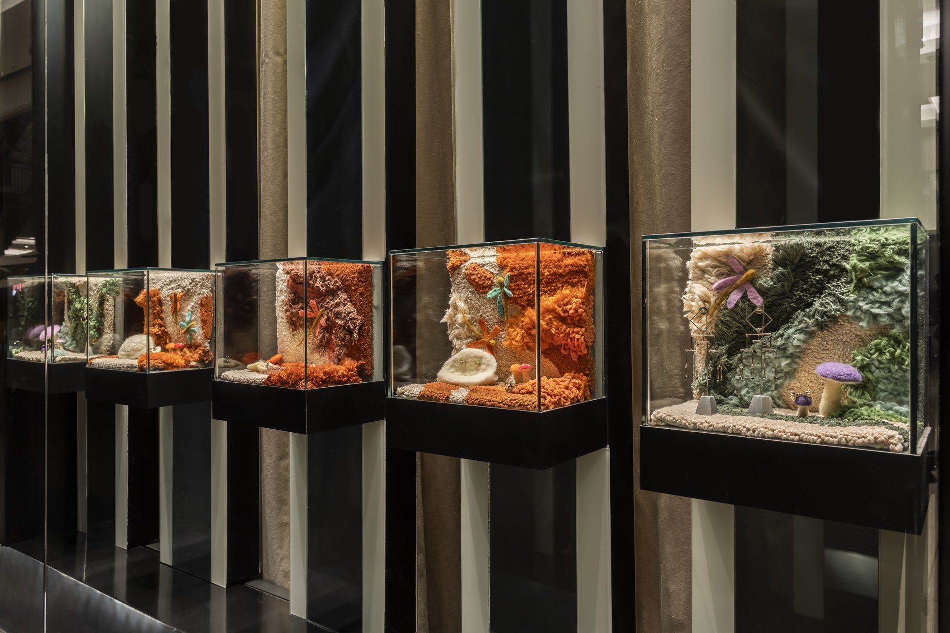 Uma fileira de aquários cheios de peixes e corais está alinhada em uma parede.