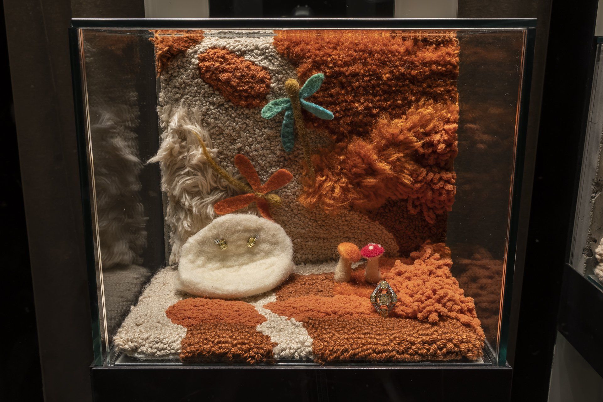 Um pequeno aquário com uma tartaruga.