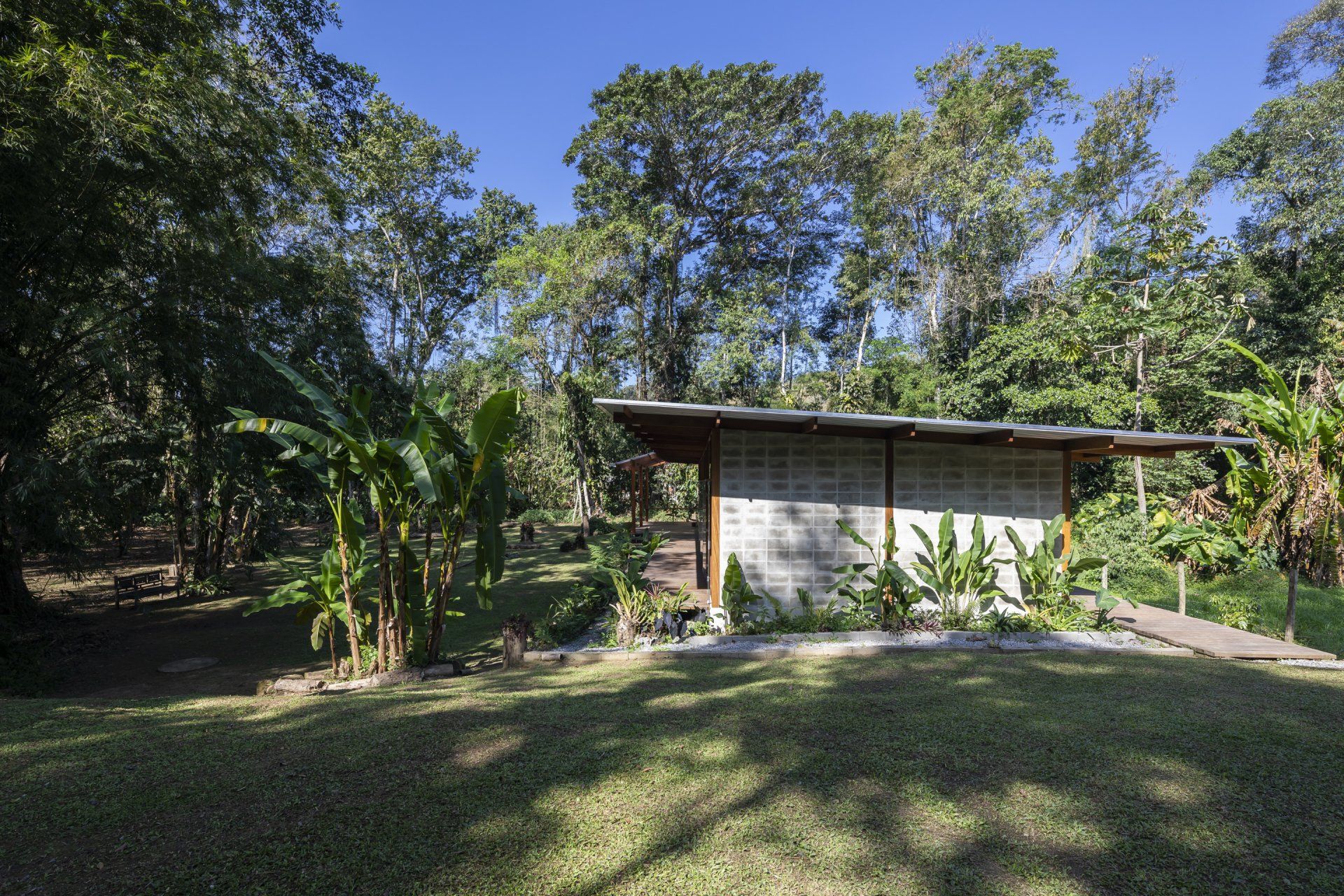 Uma pequena casa no meio de uma floresta verdejante