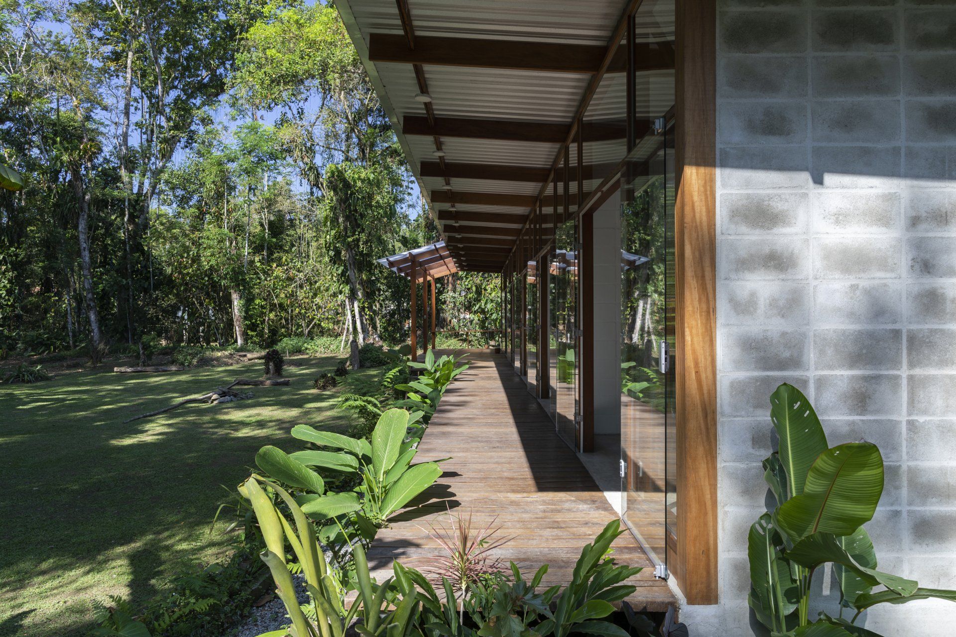 Uma longa passarela que leva a uma casa no meio de uma floresta verdejante.