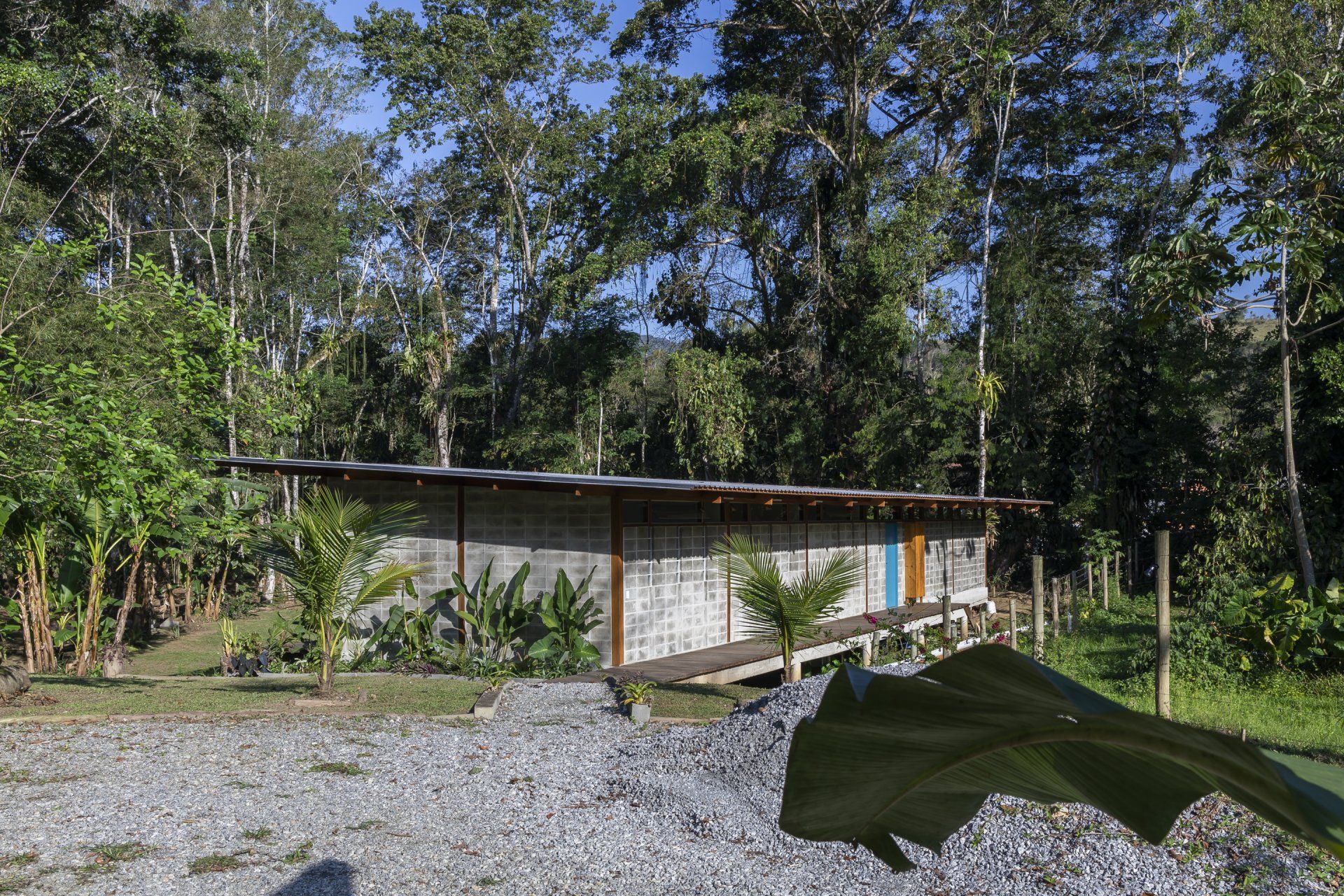 Uma pequena casa no meio de uma floresta verdejante